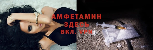 мяу мяу мука Бородино